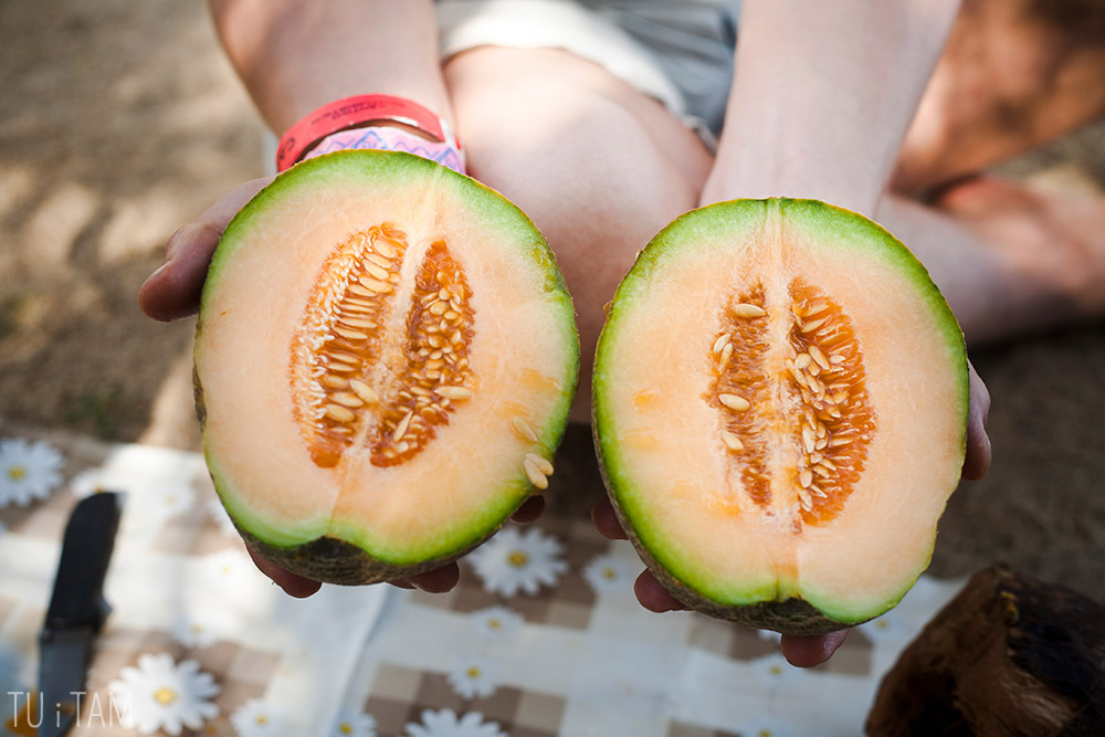 melon, Kolumbia 