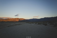 Przez pustynie | Anza Borrego